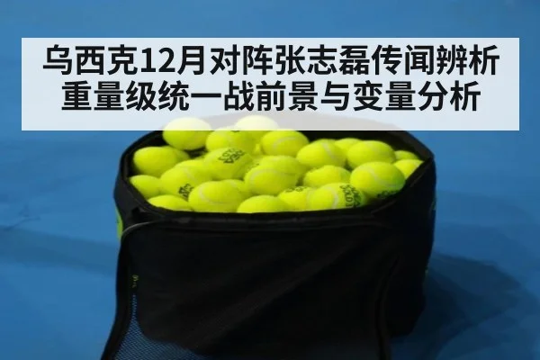 乌西克12月对阵张志磊传闻辨析 重量级统一战前景与变量分析