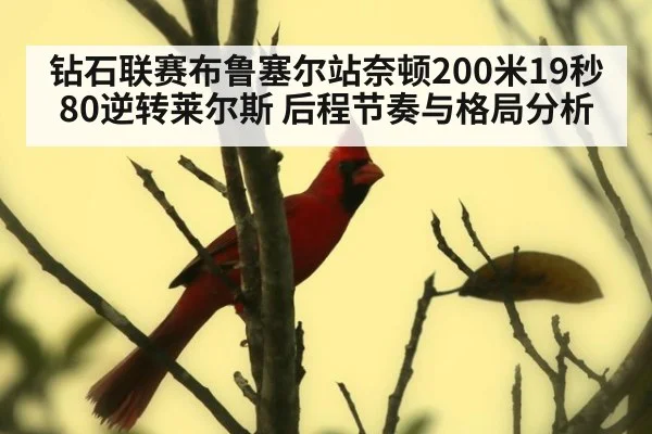 钻石联赛布鲁塞尔站奈顿200米19秒80逆转莱尔斯 后程节奏与格局分析